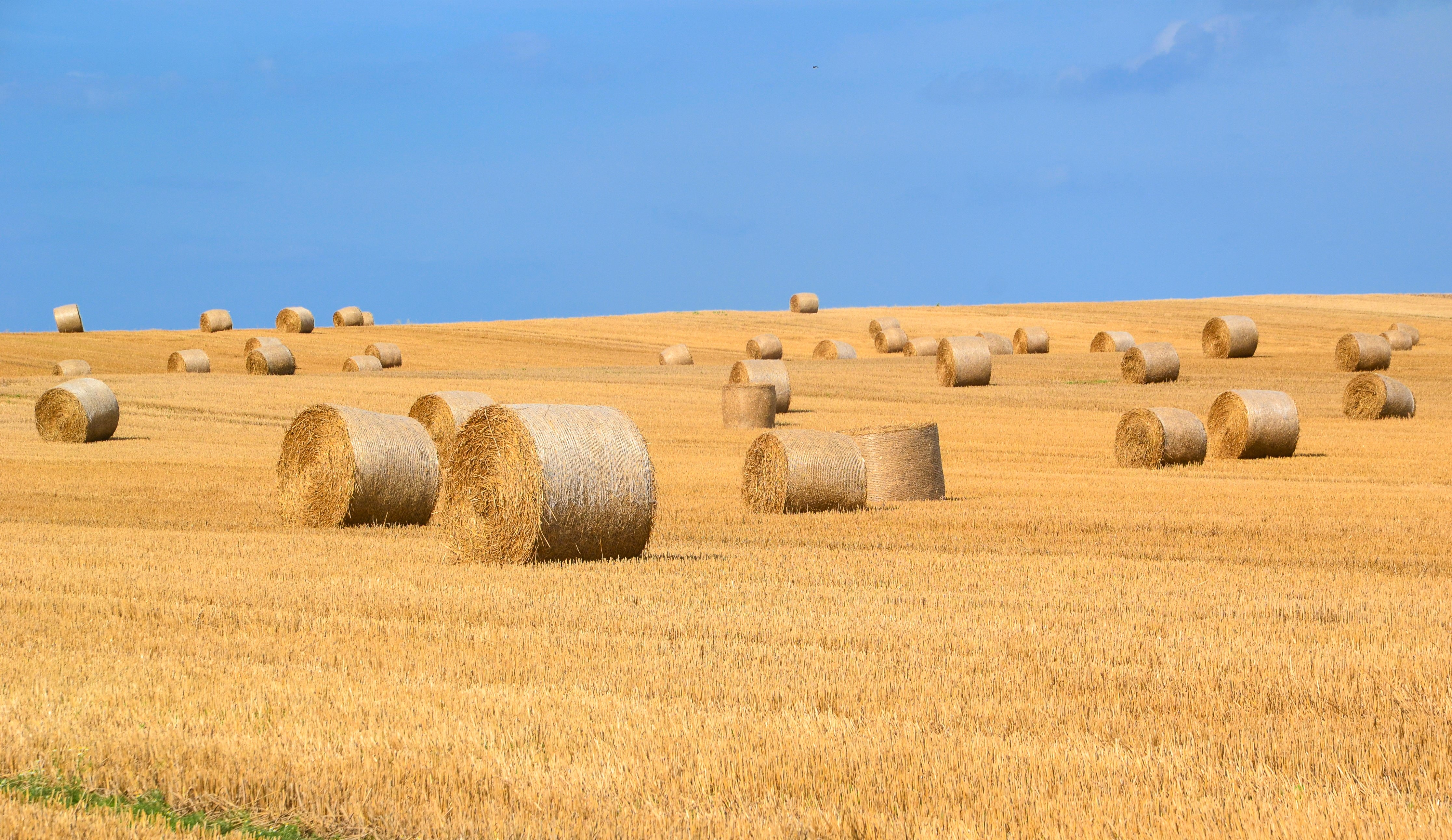 agriculture-arable-bale-countryside-289334
